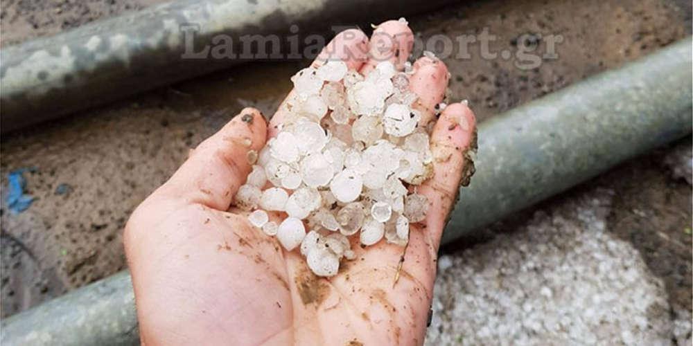 Το χαλάζι σάρωσε τον Δομοκό - Μεγάλες καταστροφές [εικόνες & βίντεο]