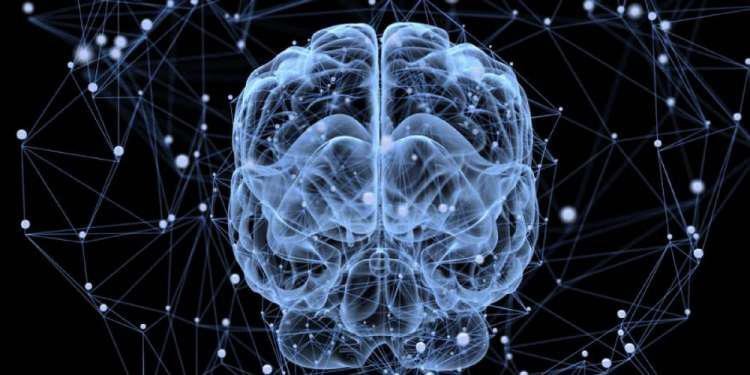 Διαφορά γυναικείο και ανδρικού εγκεφάλου: Πραγματικότητα ή μύθος;