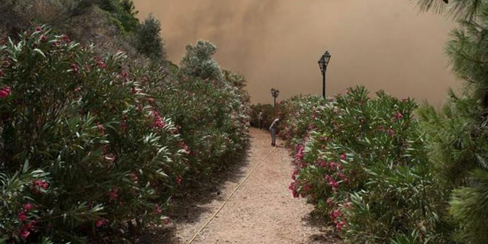 Μεγάλη φωτιά ξέσπασε στην Πύλο [εικόνες & βίντεο]