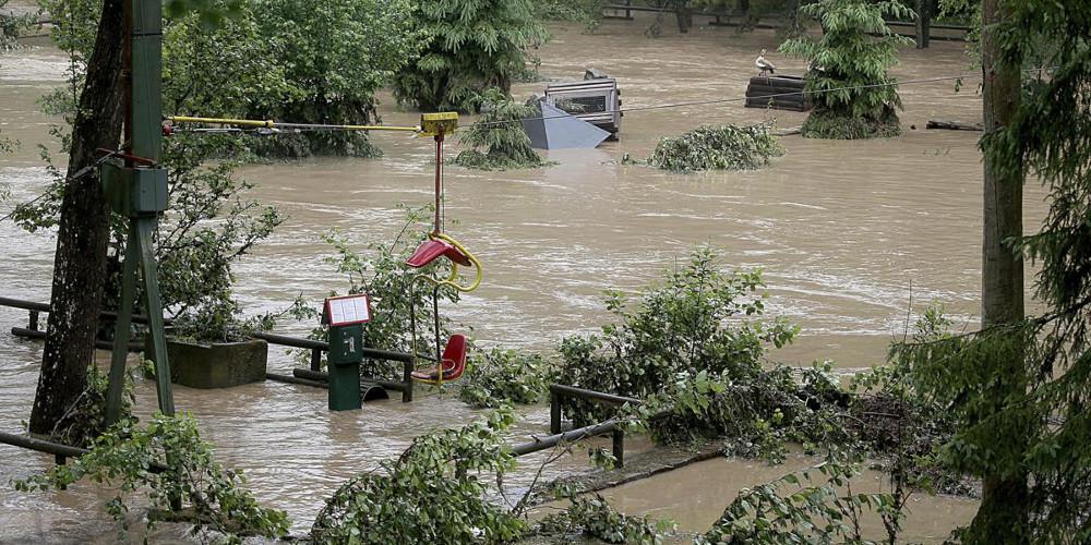 Δεν δραπέτευσαν ποτέ τα άγρια ζώα από τον ζωολογικό κήπο στην Γερμανία