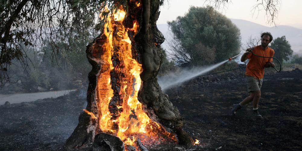 Σε εξέλιξη πυρκαγιές σε Πάρο, Εύβοια και Ζάκυνθο