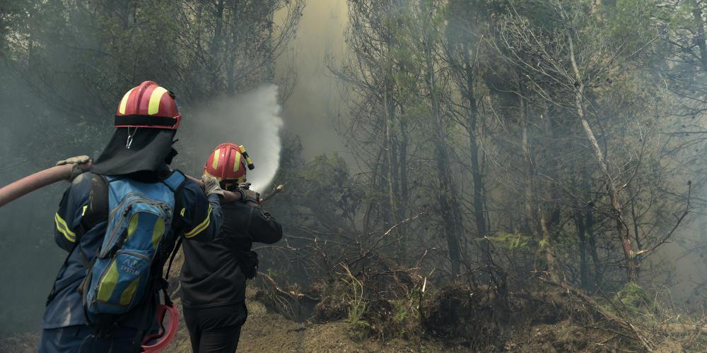 Υπό μερικό έλεγχο η πυρκαγιά στα Φάρσαλα – Κάηκαν 300 στρέμματα δάσους