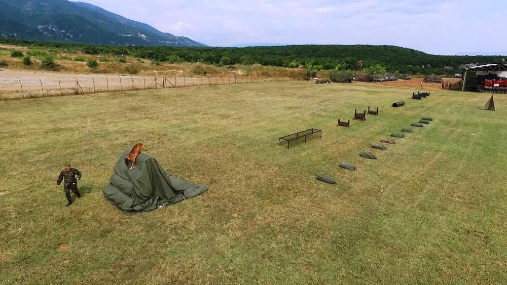 Εντυπωσίασαν οι σκύλοι-κομάντο των Ειδικών Δυνάμεων [εικόνες]