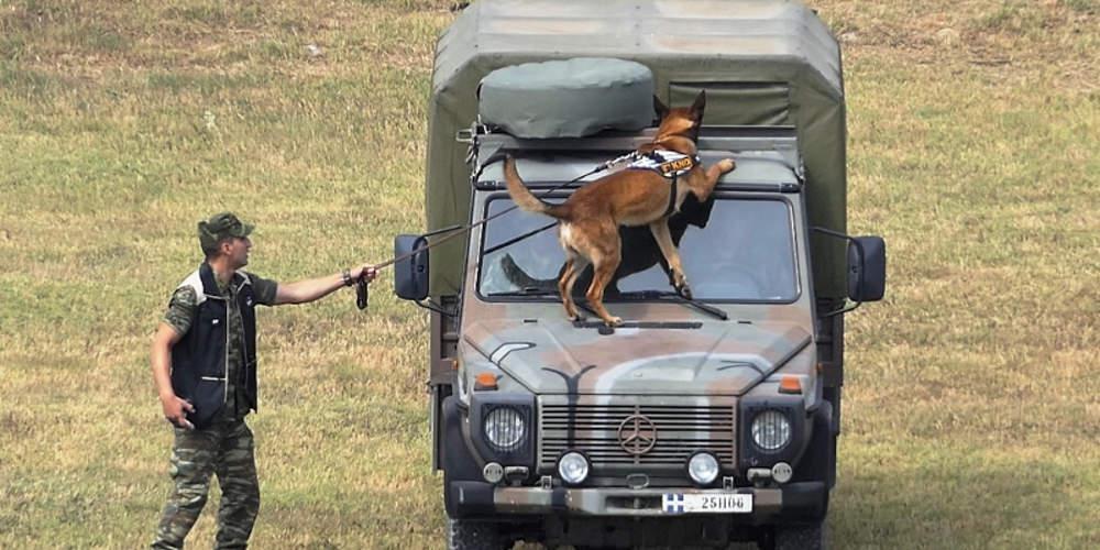 Εντυπωσίασαν οι σκύλοι-κομάντο των Ειδικών Δυνάμεων [εικόνες]