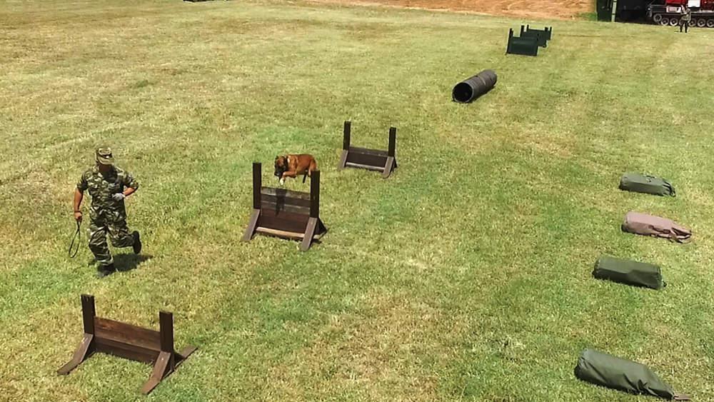 Εντυπωσίασαν οι σκύλοι-κομάντο των Ειδικών Δυνάμεων [εικόνες]