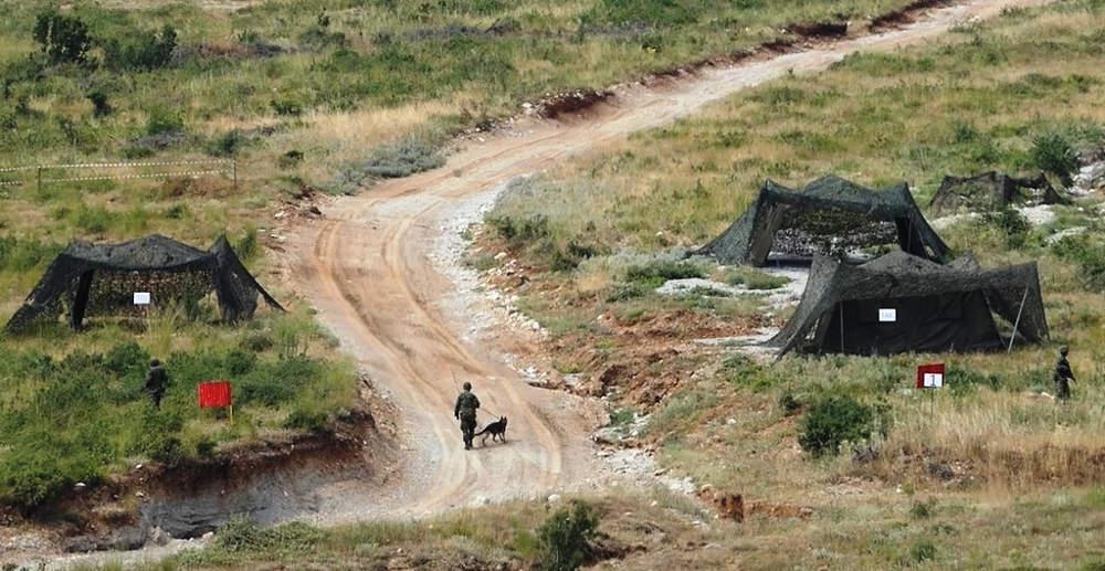 Εντυπωσίασαν οι σκύλοι-κομάντο των Ειδικών Δυνάμεων [εικόνες]