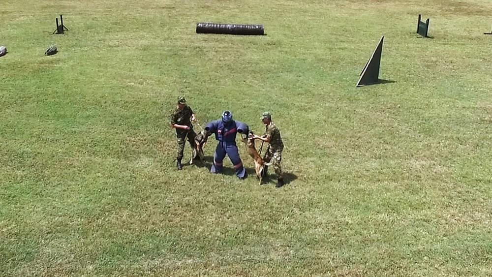 Εντυπωσίασαν οι σκύλοι-κομάντο των Ειδικών Δυνάμεων [εικόνες]