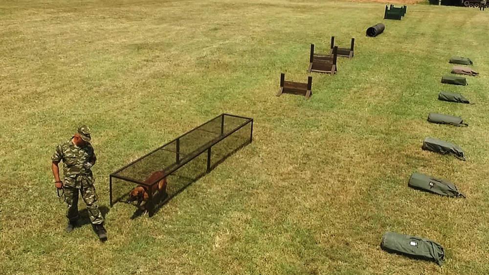 Εντυπωσίασαν οι σκύλοι-κομάντο των Ειδικών Δυνάμεων [εικόνες]