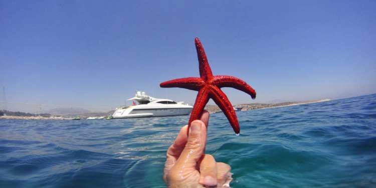 Τουρισμός για όλους Κοινωνικός Τουρισμός ΔΥΠΑ