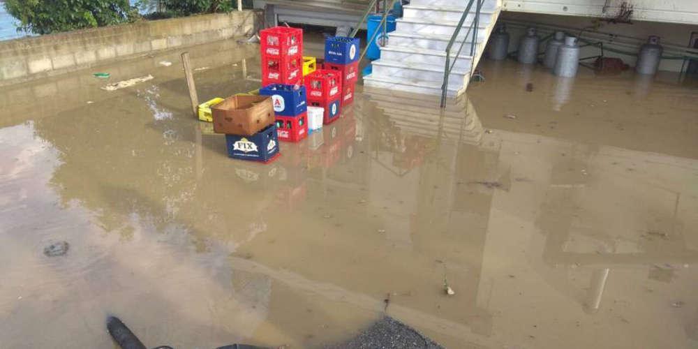 Η κακοκαιρία «σάρωσε» τα Φάρσαλα - Μεγάλες οι ζημιές στις καλλιέργειες [εικόνες]