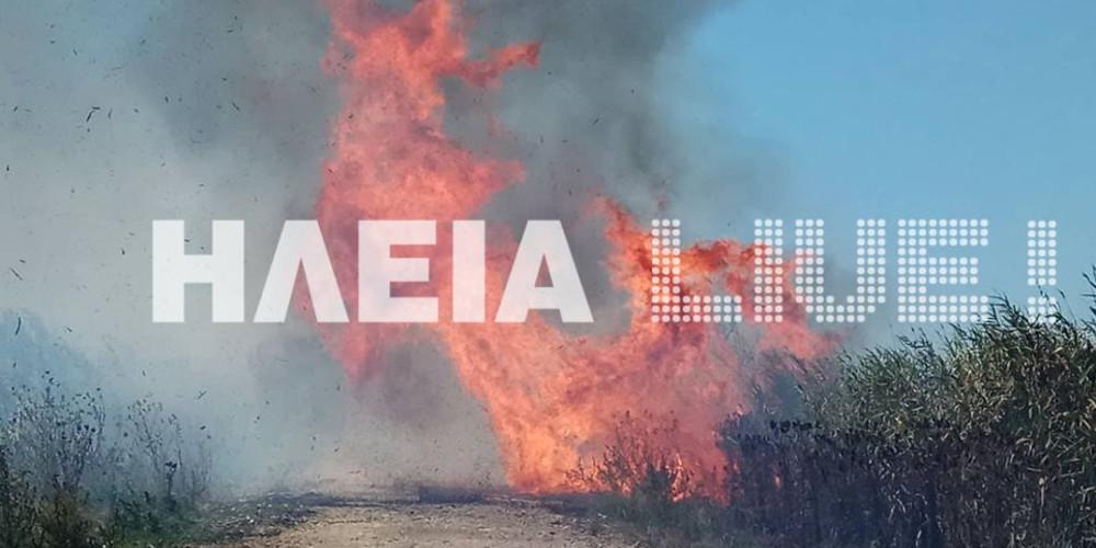 Μεγάλη φωτιά κοντά σε οικισμό στον Πύργο