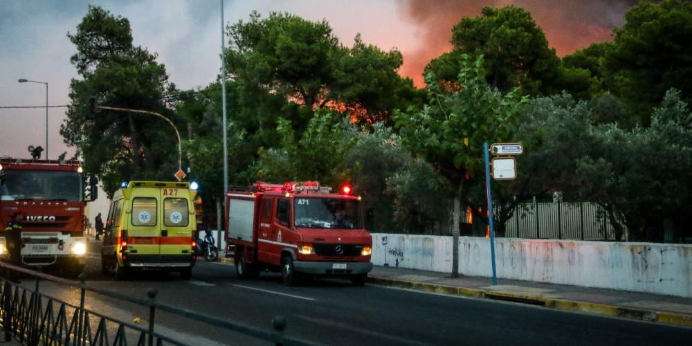 Ξεκίνησε η υλοτόμηση και απομάκρυνση των καμένων δένδρων στην απαλλοτριωμένη ζώνη της Μαραθώνος