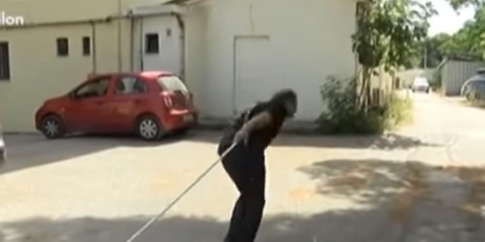 Ο πρώην παίχτης του Big Brother Γιώργος Κατσαούνης τραβά όχημα με τα μαλλιά του