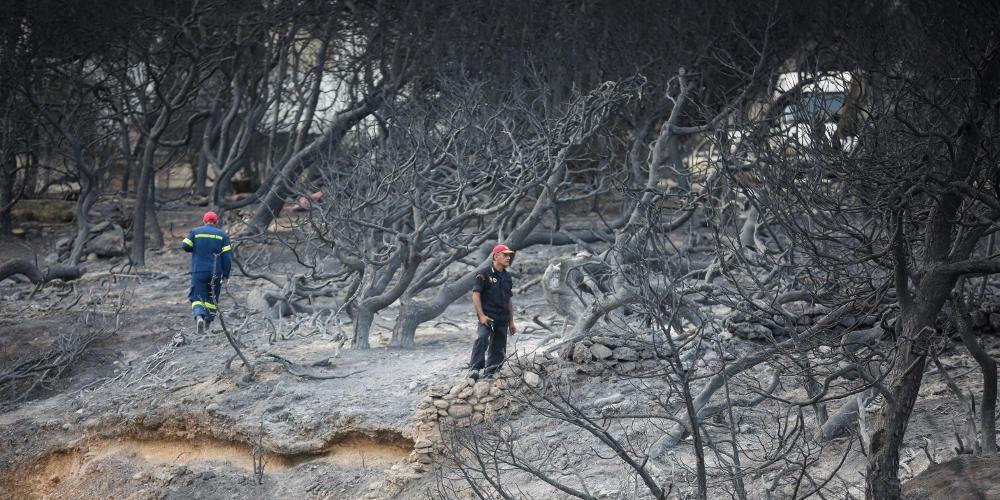 Μαζεύουν υπογραφές για αναδάσωση στο Μάτι και κατά του Ψινάκη