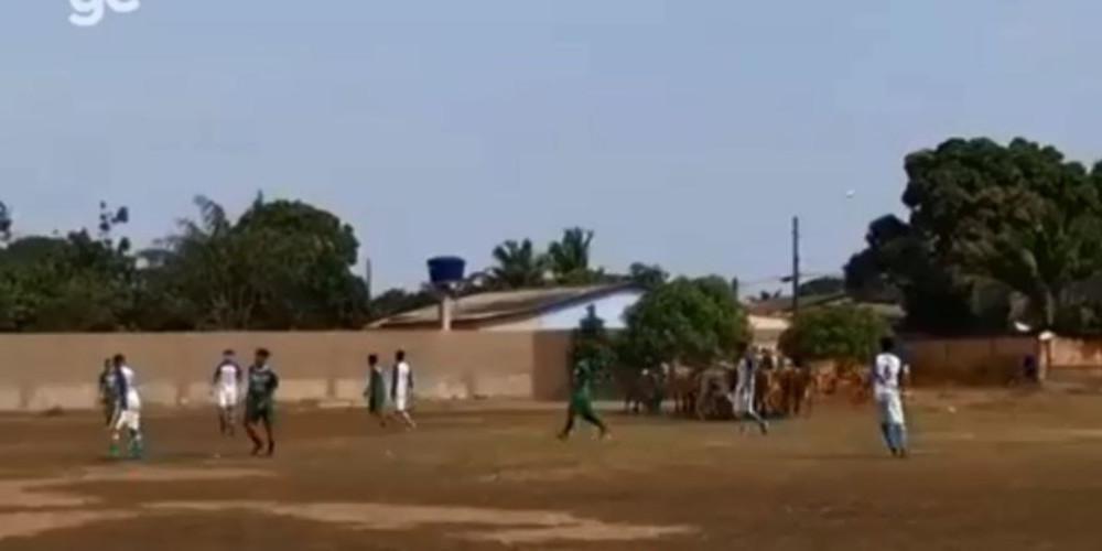 Διακοπή σε ποδοσφαιρικό αγώνα λόγω αγελάδων [βίντεο]