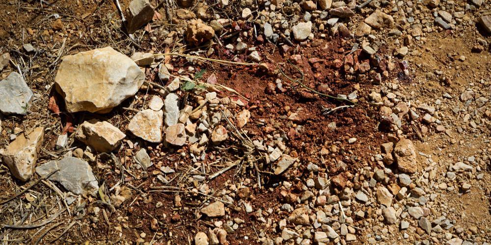 Στον εισαγγελέα για ανθρωποκτονία από πρόθεση οι δράστες της επίθεσης στου Φιλοπάππου