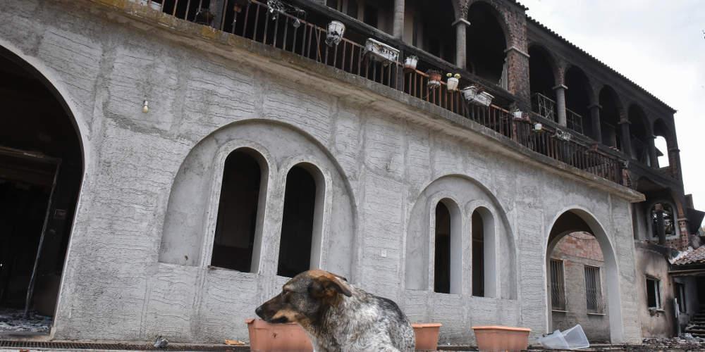 Η Μότορ Όιλ ανέλαβε την αποκατάσταση του Λύρειου Παιδικού Ιδρύματος