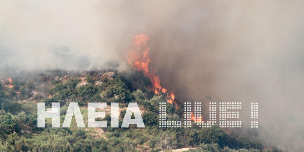 Μεγάλη πυρκαγιά στην Ηλεία - Αεροσκάφη στην επιχείρηση κατάσβεσης