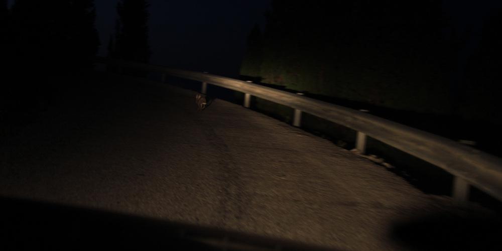 ΤΩΡΑ: Χωρίς ρεύμα πολλές περιοχές της Αττικής από την κακοκαιρία!