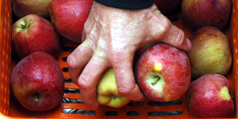 Δέσμευση 2,2 τόνων φρούτων σε επιχείρηση του Πειραιά