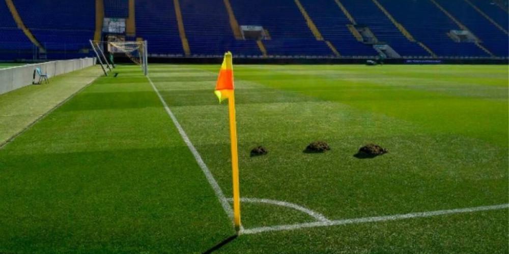 Πρωτοφανές: Επιδρομή από τυφλοπόντικες στο γήπεδο της Σαχτάρ Ντόνετσκ!