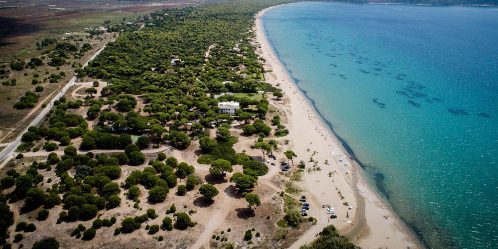 Συναγερμός στον Σχινιά για το φαινόμενο που παρατηρείται: Πεθαίνουν μαζικά τα ψάρια