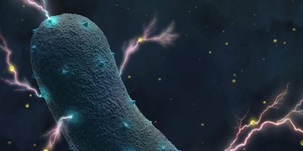 Το απίστευτο μυστικό των βακτηρίων του εντέρου: Παράγουν ηλεκτρικό ρεύμα!