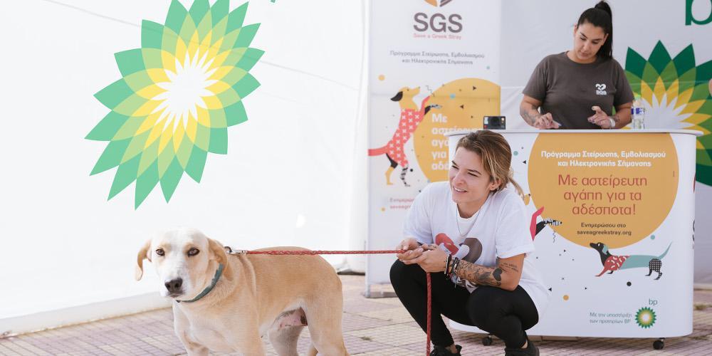«Με αστείρευτη αγάπη για τα αδέσποτα»: Νέο πρόγραμμα δράσεων της SGS με την υποστήριξη των πρατηρίων BP