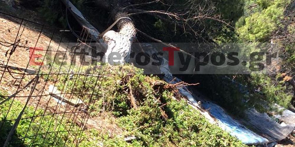 «Κρανίου τόπος» η Αλμυρή Κορινθίας μετά το πέρασμα του κυκλώνα Ζορμπά [εικόνες]