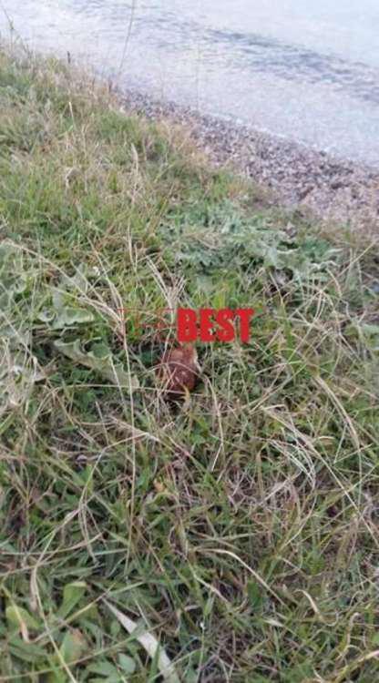 Απίστευτο: Νήπιο έπαιζε με χειροβομβίδα στην παραλία Ροδίνη στην Πάτρα [εικόνα & βίντεο]