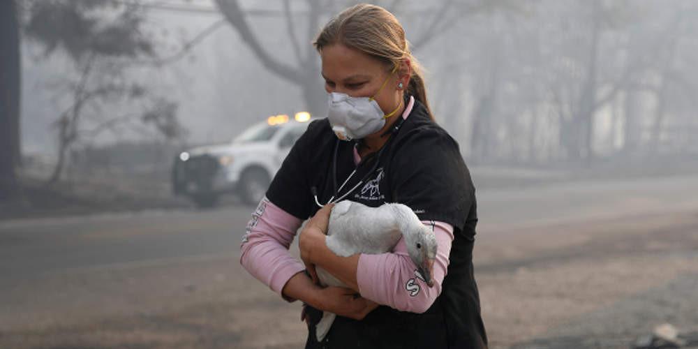 Τουλάχιστον 25 νεκροί από την πυρκαγιά στην Καλιφόρνια - Απειλείται το Μαλιμπού
