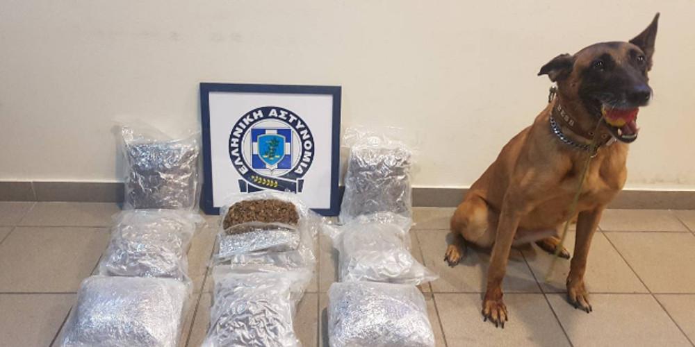 Η Bess είναι... ατρόμητη, εργάζεται στην ΕΛ.ΑΣ. και κατάφερε να εντοπίσει έξι κιλά κάνναβη