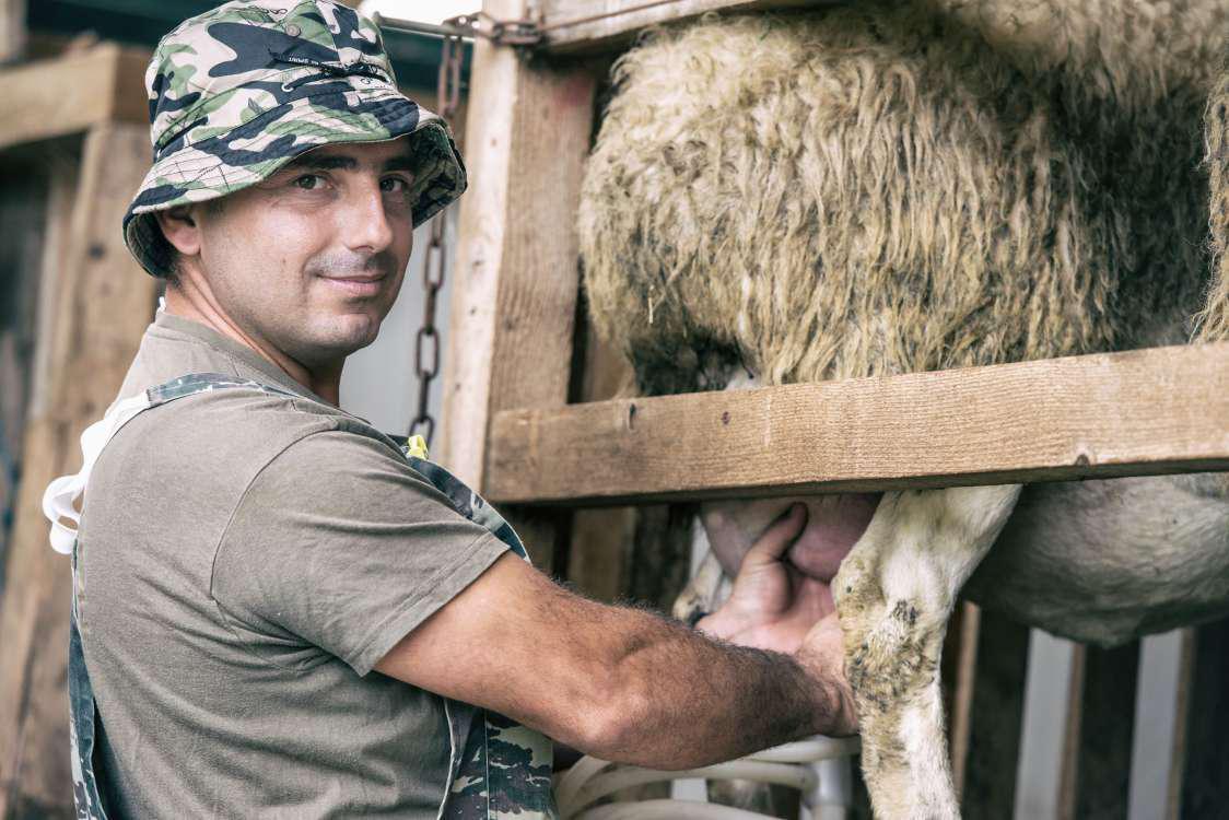 Ποιοι αγρότες δικαιούνται χαμηλότοκο δάνειο έως 5 εκατ. – Η διαδικασία και οι δαπάνες που χρημ