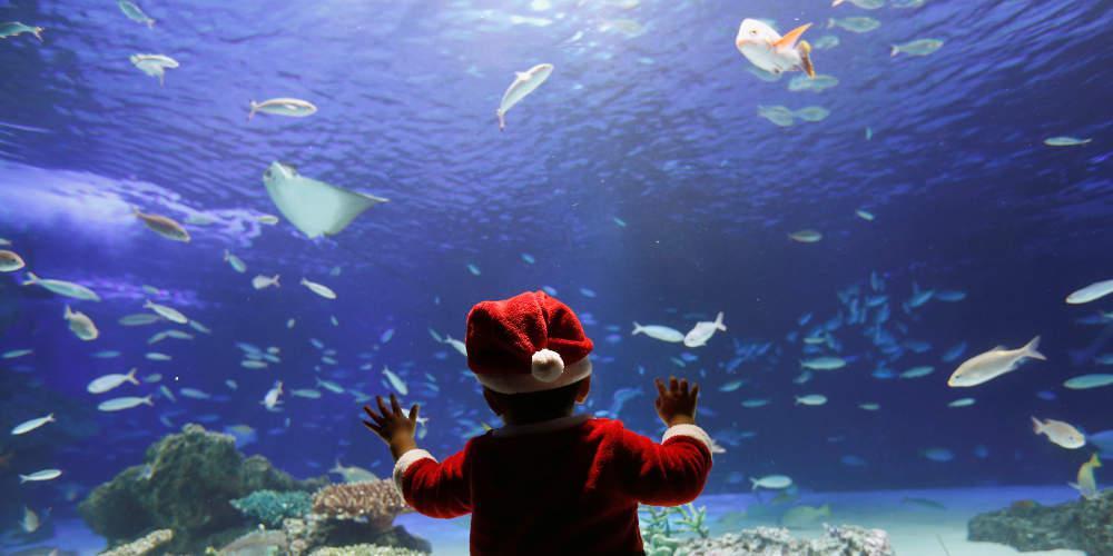 Απίστευτο βίντεο: Το ψάρι ρομπότ που οργώνει το βυθό