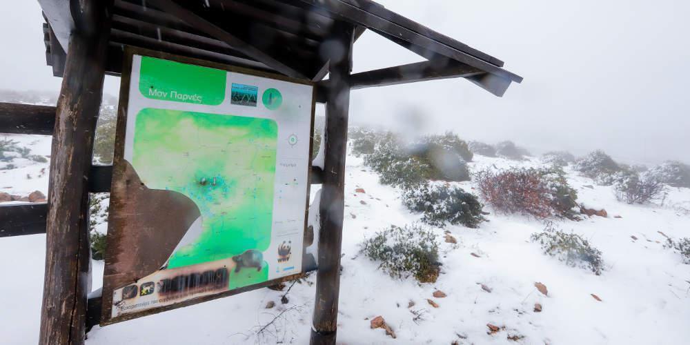 «Στα λευκά» από το πρωί της Πέμπτης η Πάρνηθα [βίντεο]