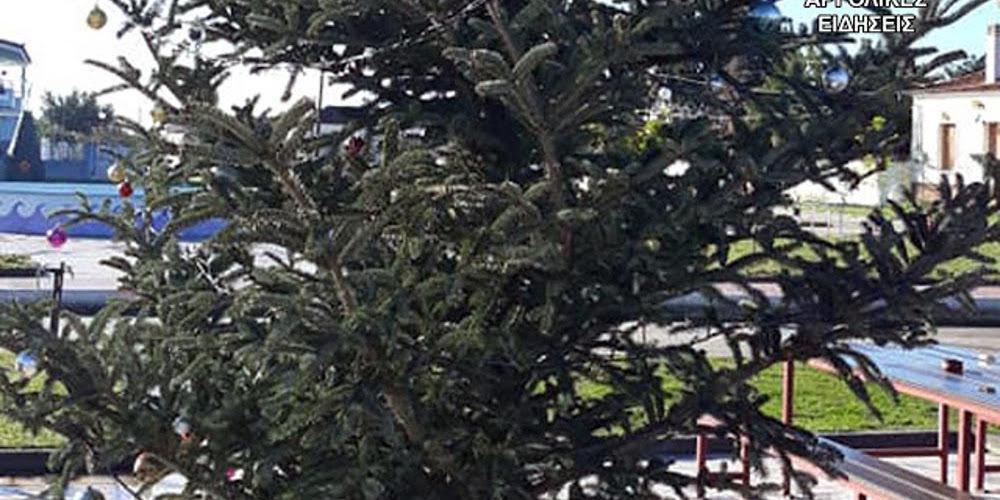 Απίστευτο: Έκλεψαν τον στολισμό από το χριστουγεννιάτικο δέντρο στο Άργος