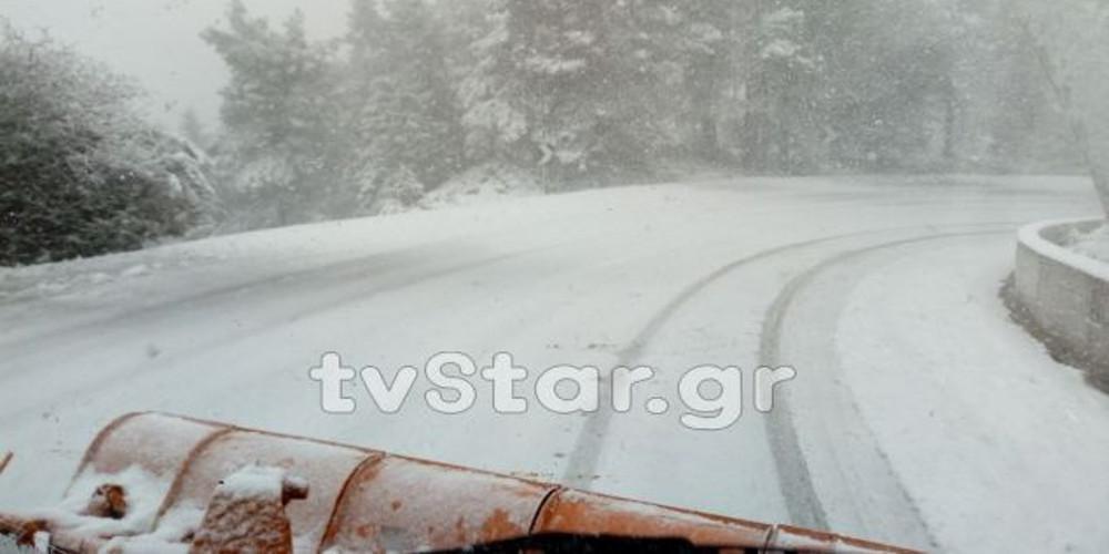 Αγριεύει η Σοφία! Διακοπές ρεύματος και πτώσεις δέντρων στην Εύβοια