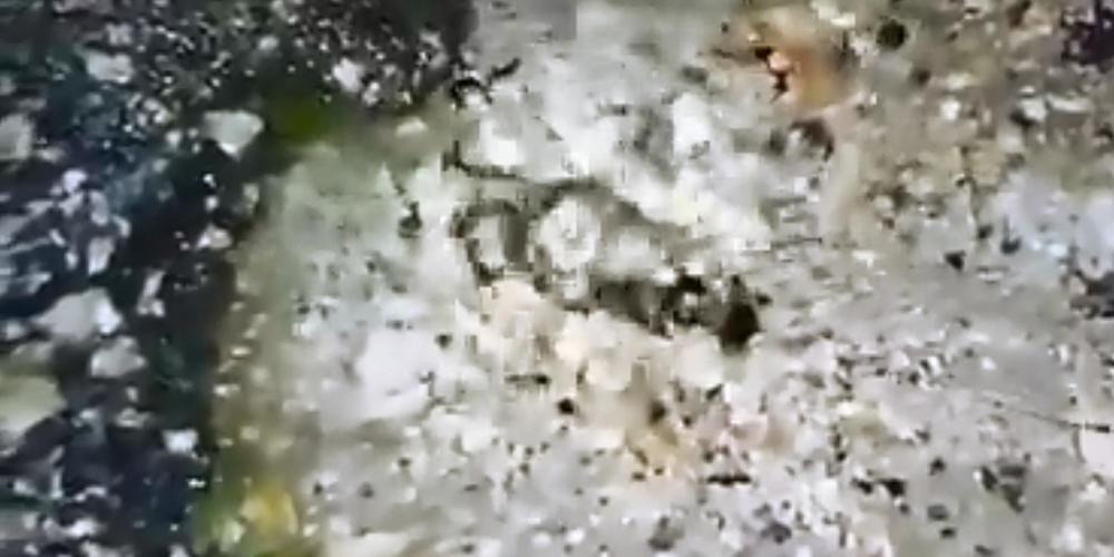 Στην Ζάκυνθο αναβλύζει πετρέλαιο από την άσφαλτο! [βίντεο]