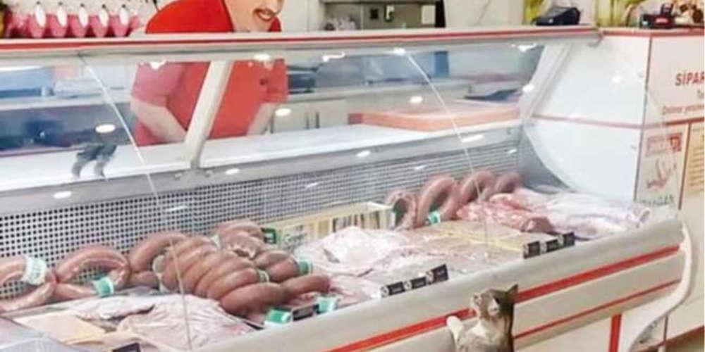 Κρεοπώλης κατασκεύασε τάφο για την πιο τακτική πελάτισσά του, τη γάτα Γεσίμ