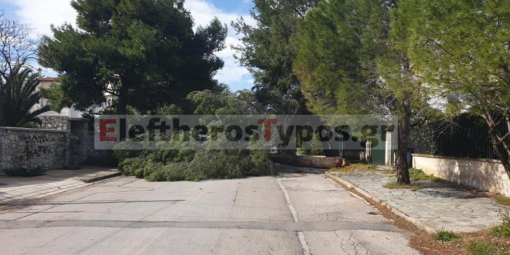 Δεκάδες κλήσεις στην Πυροσβεστική σε Αττική και Κρήτη λόγω της κακοκαιρίας