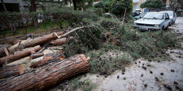 Καταπλακώθηκαν 12 οχήματα στη Νέα Σμύρνη από πτώση δέντρου από τον άνεμο