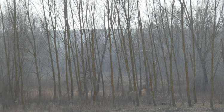 Ανατροπή: Σταμάτησαν οι έρευνες για τους αγνοούμενους στον Έβρο - Είπε ψέμματα ο άνδρας που ζήτησε βοήθεια