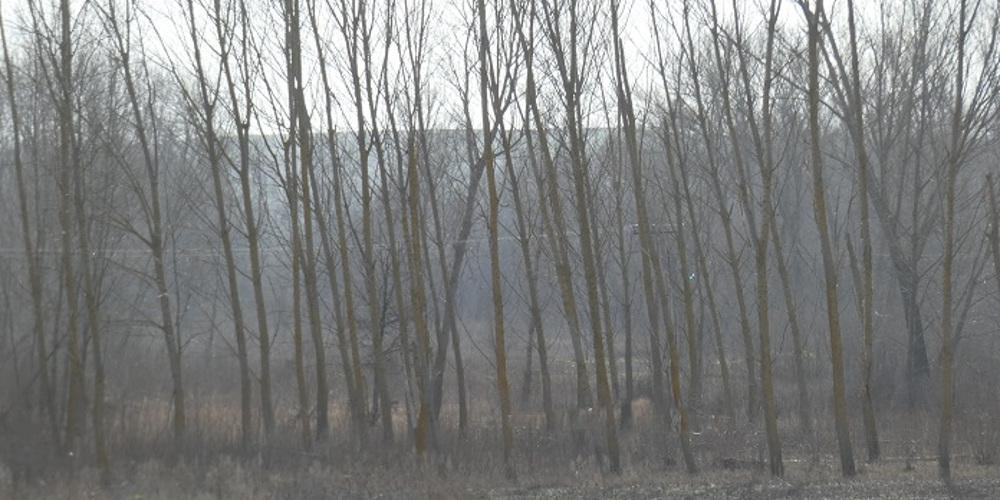 Ανατροπή: Σταμάτησαν οι έρευνες για τους αγνοούμενους στον Έβρο - Είπε ψέμματα ο άνδρας που ζήτησε βοήθεια