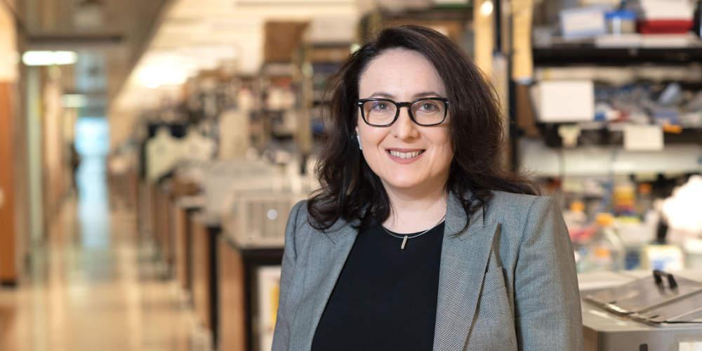 Μεγάλη διάκριση για Ελληνίδα ερευνήτρια για καινοτόμα έρευνα κατά της σκλήρυνσης κατά πλάκας