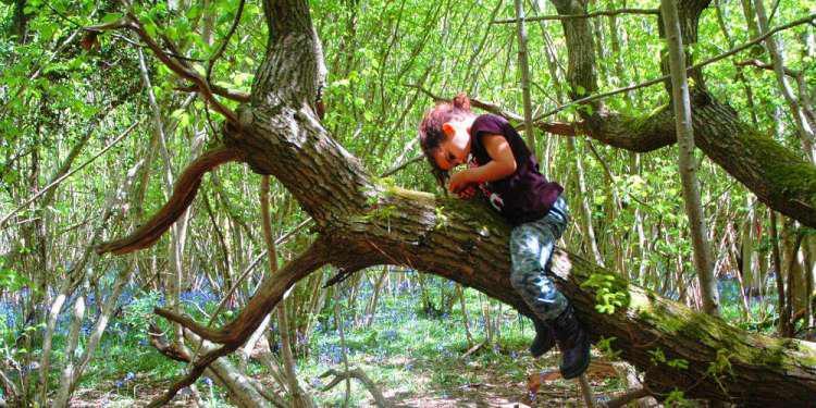 Ο μαγικός αριθμός για να είσαι υγιής: 120 λεπτά την εβδομάδα επαφή με την φύση αρκούν