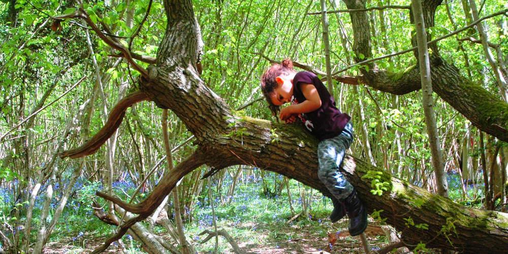 Ο μαγικός αριθμός για να είσαι υγιής: 120 λεπτά την εβδομάδα επαφή με την φύση αρκούν