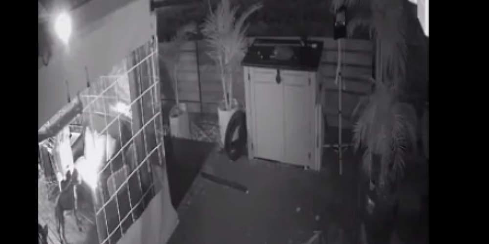 Η περιέργεια… έκαψε τον σκύλο: Πώς ένα κατοικίδιο παραλίγο να βάλει φωτιά σε διαμέρισμα [βίντεο]