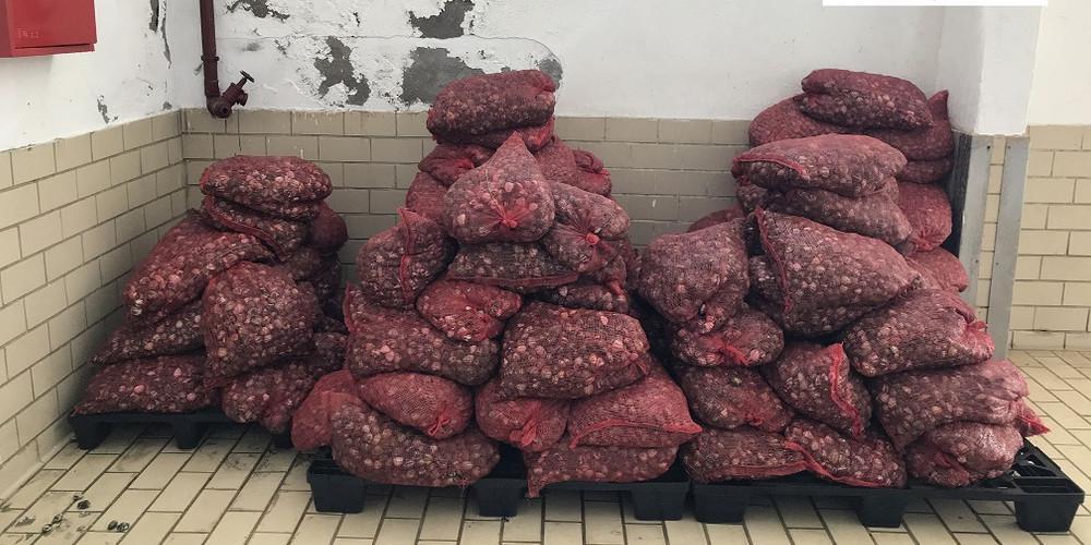 Πάνω από 3 τόνοι ακατάλληλα όστρακα κατέσχεσε το Λιμενικό