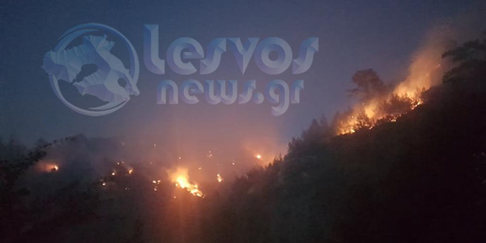 Μάχη με τις φλόγες στο Νεοχώρι στην Λέσβο [εικόνες & βίντεο]