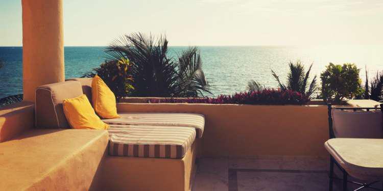 Ένα μικρό… μυστικό για να προστατεύσετε τα αγαπημένα σας φυτά από την ψώρα